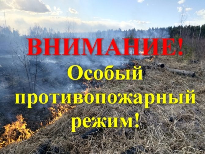 В лесах Пермского края до 10 сентября вводят особый противопожарный режим